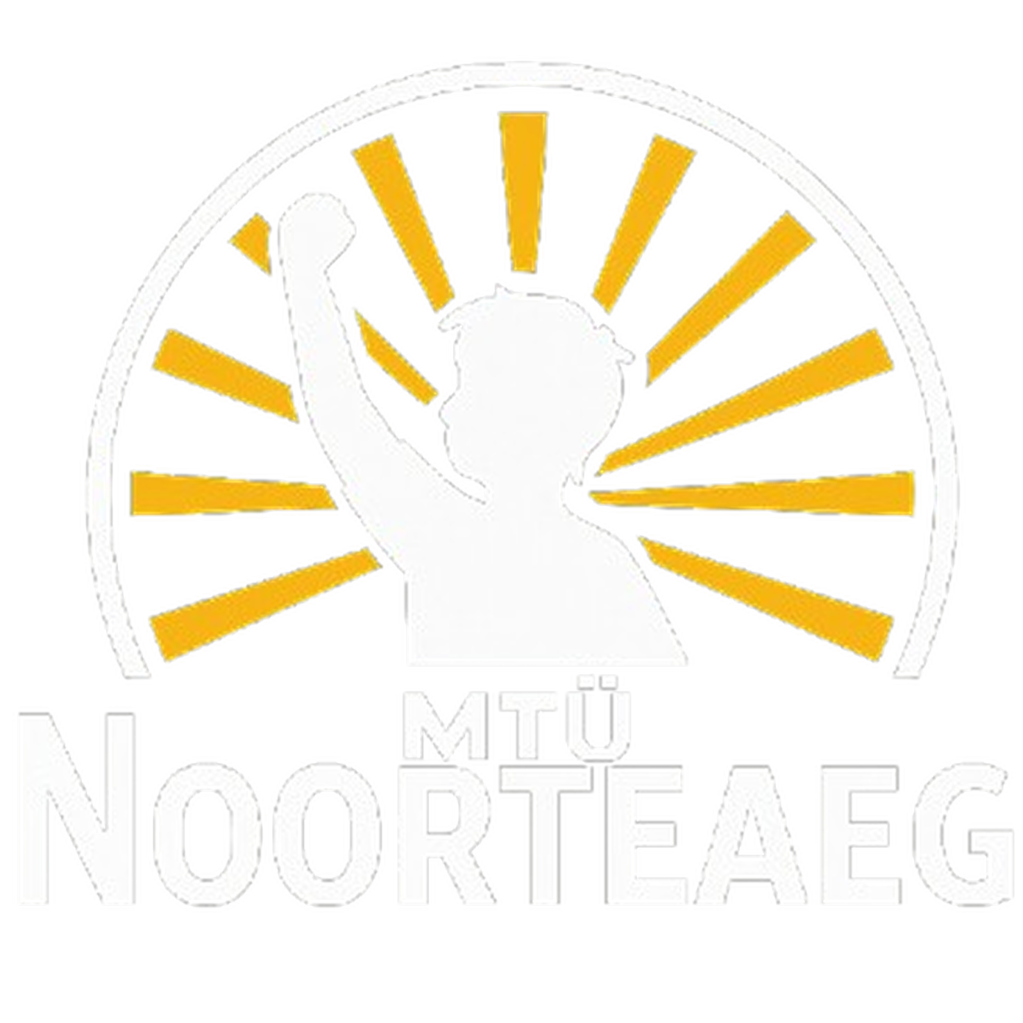 MTÜ Noorteaeg